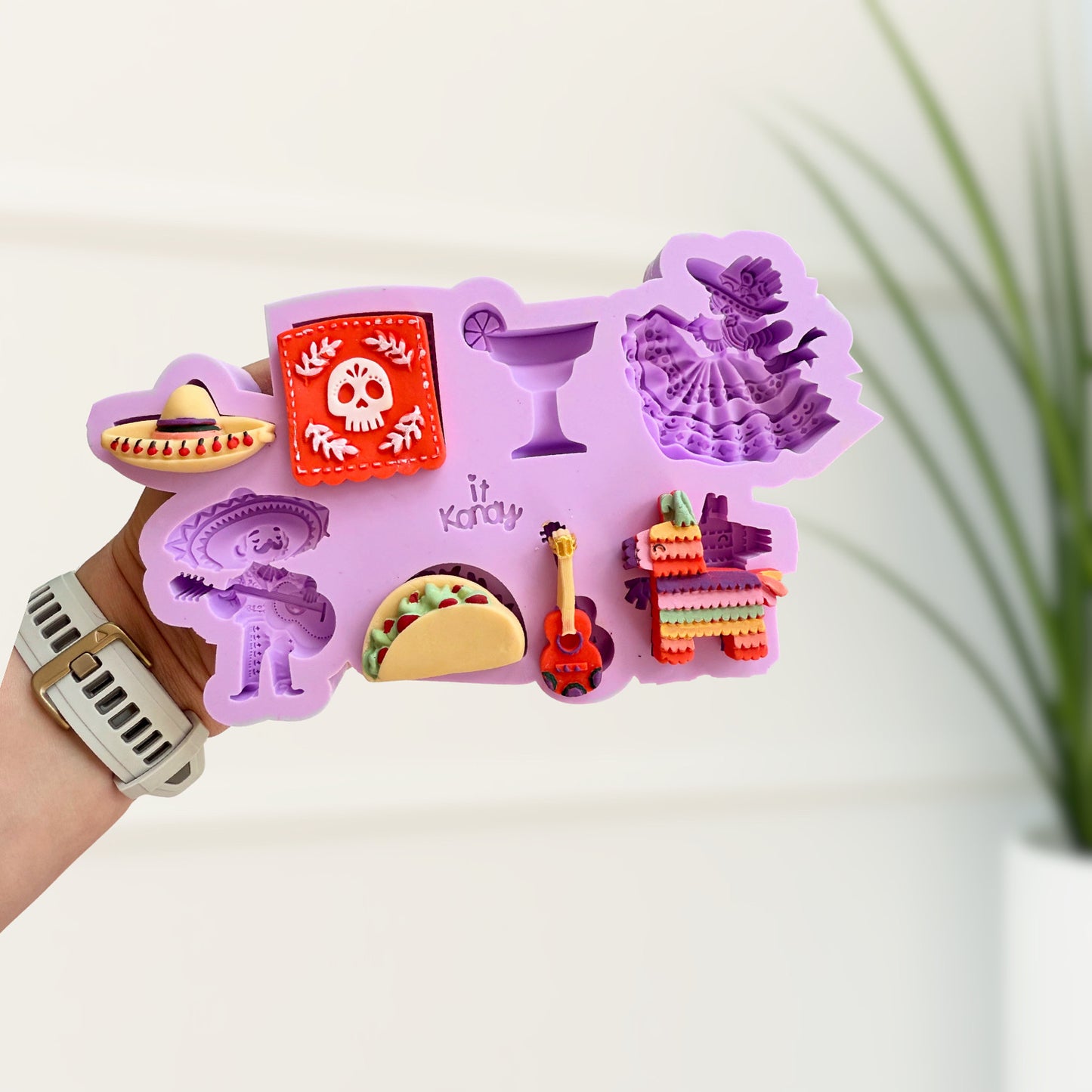 Large fiesta Silicone Mold
