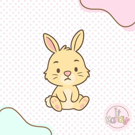 Baby Rabbit multi pc cookie cutter